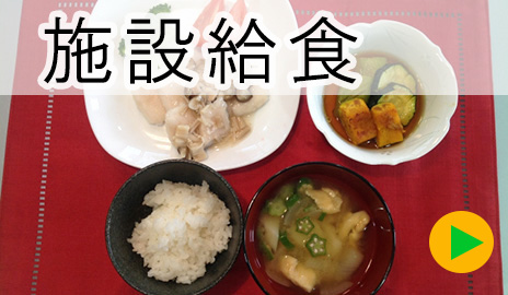 施設給食