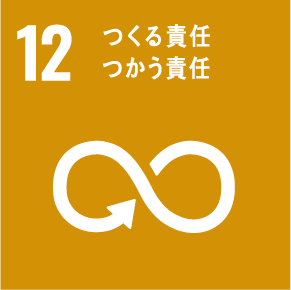 icn_SDGs12